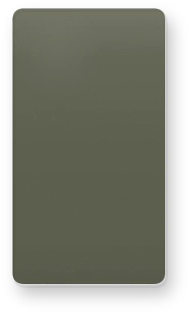 RAL 6003 RAL 6003 Fine texture High Durable Powder Coating